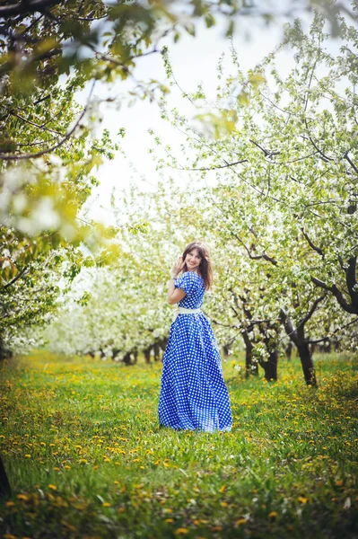 Mooie vrouw in een cherry orchard — Stockfoto