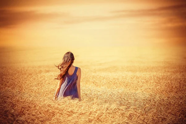 Женщина в поле на закате — стоковое фото