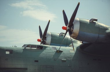 vida ve eski büyük deniz uçağını Şahin