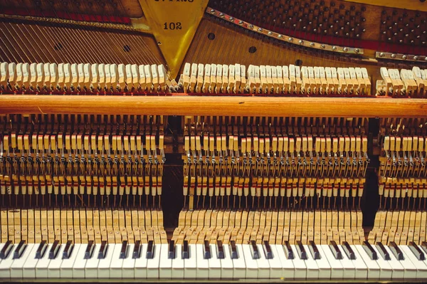 Piano strings and keys