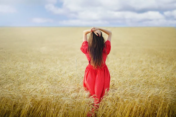 Mujer en un campo de trigo en un vestido largo rojo mira a la distancia, vista desde la parte posterior . — Foto de Stock