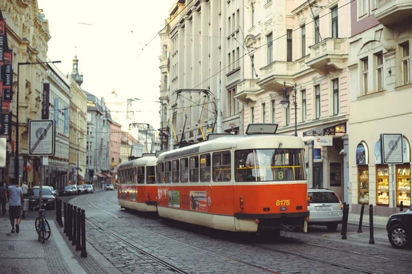 Spårvagnar på gatan i Prag, kollektivtrafik — Stockfoto