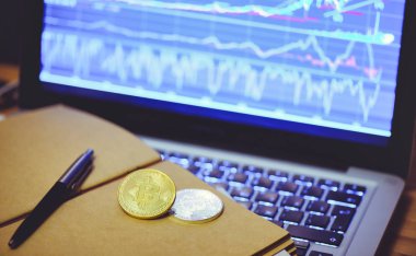 Bitcoin bir iş adamı bir bilgisayar arka plan ve artan bir grafik karşı not defterinde altın sikke olduğunu. Sanal Kripto para kavramı