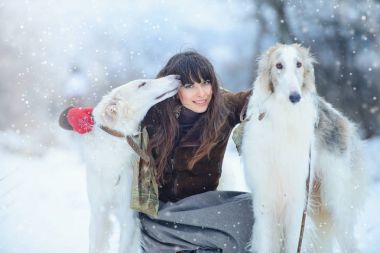 Noel yürüyüş. Kış giysileri tazı köpekleri zarif kış arka plan kar, duyguları ile güzel sürpriz kadın. bir kadın portresi. Yeni yıl