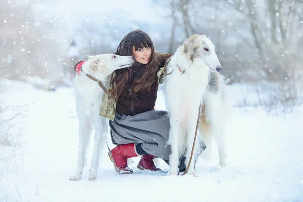 Χριστούγεννα με τα πόδια. Όμορφη γυναίκα έκπληκτος στο χειμωνιάτικα ρούχα με λαγωνικό σκύλους χαριτωμένη χειμώνα φόντο με χιόνι, συναισθήματα. πορτρέτο μιας γυναίκας. Το νέο έτος — Φωτογραφία Αρχείου