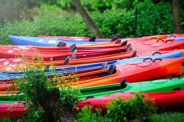 Yeşil sahil kıyısında birçok kayaks standı