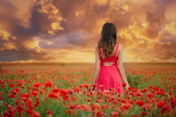 Mulher bonita em um vestido vermelho em um campo de papoula ao pôr do sol das costas, tonificação quente, felicidade e um estilo de vida saudável — Fotografia de Stock