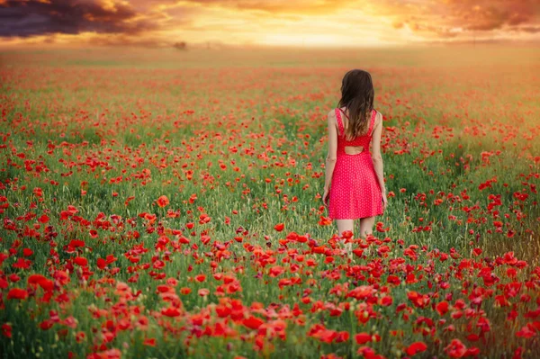 Mulher bonita em um vestido vermelho em um campo de papoula ao pôr do sol das costas, tonificação quente, felicidade e um estilo de vida saudável — Fotografia de Stock