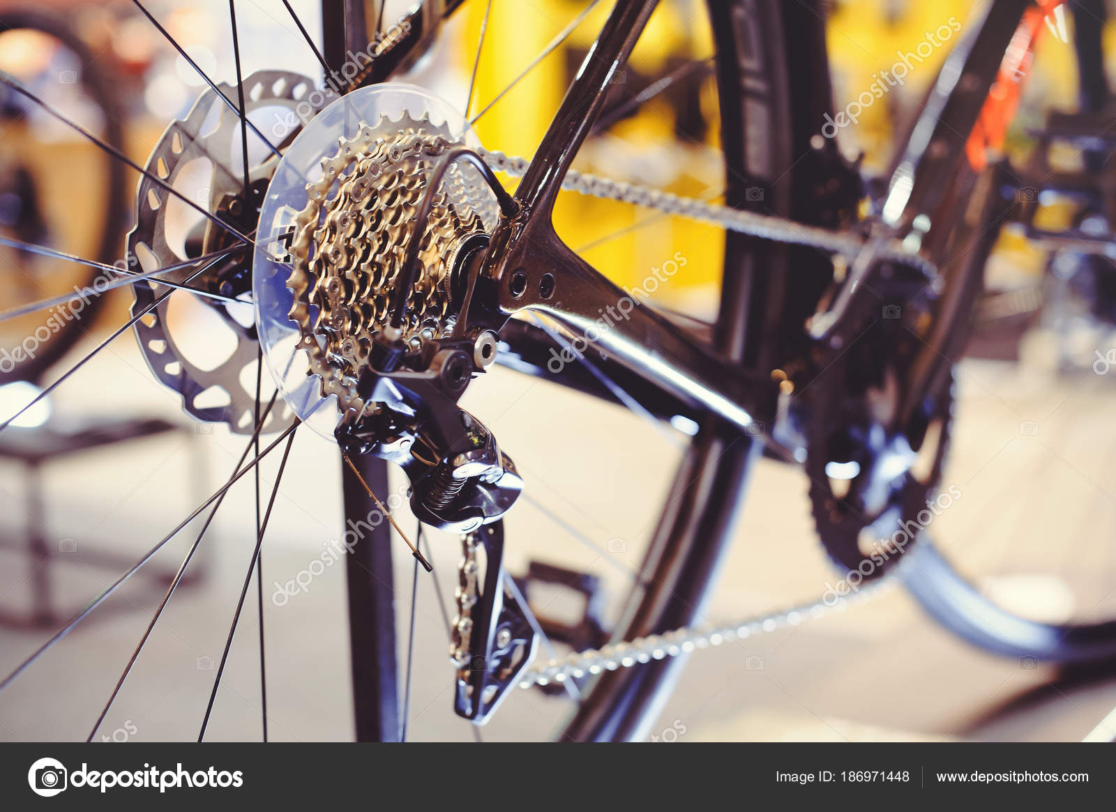 bike rear wheel