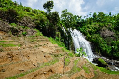 şelale ve pirinç çeltik Teras alanları Java, Endonezya, Güney Doğu Asya'da