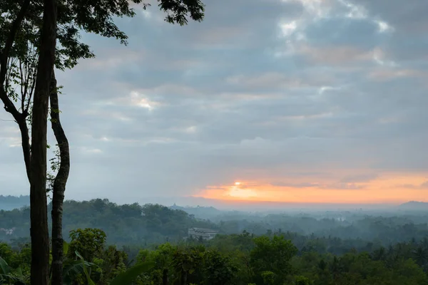 Lanskap Hutan Dan Matahari Terbit Melihat Candi Borobudur Kejauhan Dari — Stok Foto