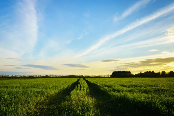 Venkovské Krajiny Farma Pole Při Západu Slunce Jaře — Stock fotografie