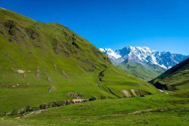 Gürcistan 'ın Svaneti bölgesinde Shkhara Dağı ile Ushguli manzarası.