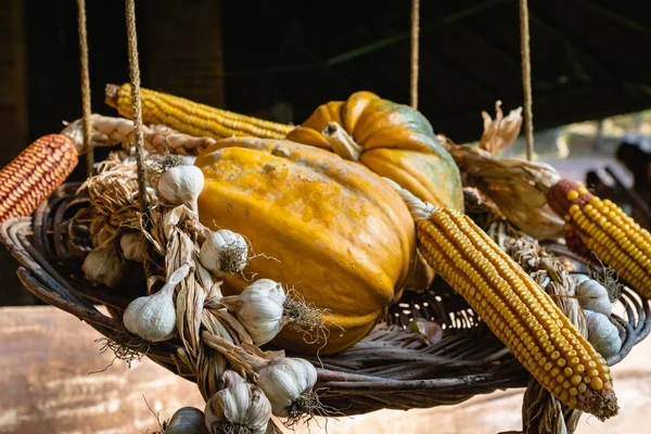 Garlic Pumpkins Maize Corn Squash Hanged Dry Basket Market Restaurant — Stock Photo, Image
