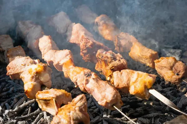 Shashlik Barbecue Grill Charcoal Shashlik Skewered Meat Shish Kebab Popular — Stock Photo, Image