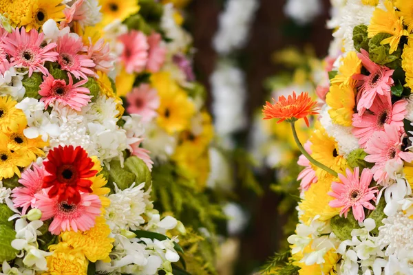 美しい庭のピンク色の庭の花の花 natuer — ストック写真