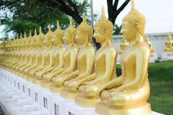 Buddha heykeli portre Tapınağı