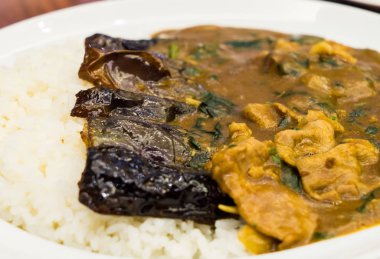 Japon köri pirinç domuz eti chashu patlıcan ile sıcak