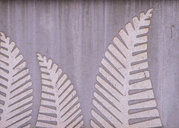 Gray Concrete decorated with fern leaf art. — Stock Photo, Image