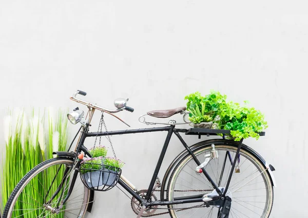 Vintage rower w zielonym ogrodzie z ściany szary tło. — Zdjęcie stockowe