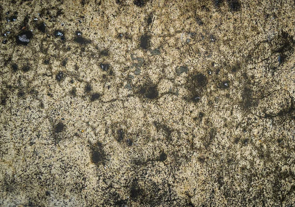 Brudne mokre betonowym z czarnym brudne formy. — Zdjęcie stockowe