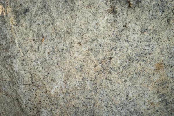 Szorstki cementu brudne podłogi tekstury tło. — Zdjęcie stockowe