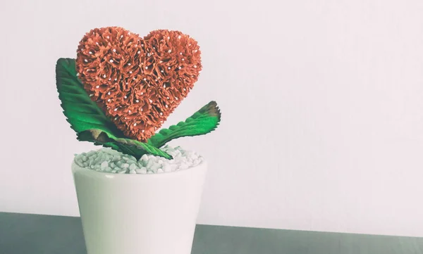 Planta de flor de coração vermelho em vaso cerâmico com espaço de cópia — Fotografia de Stock
