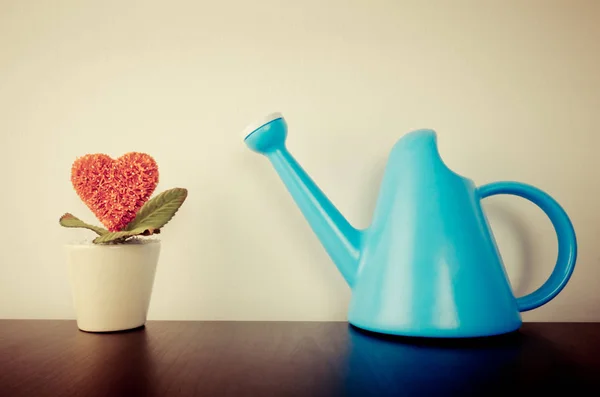 Flor do coração com regador pode para crescente conceito de amor — Fotografia de Stock