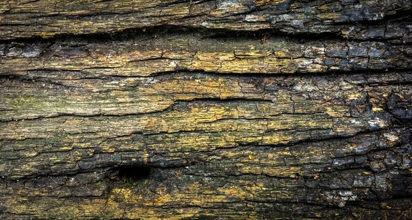 Régi rusztikus fa felületén, zöld és sárga textúra. — Stock Fotó