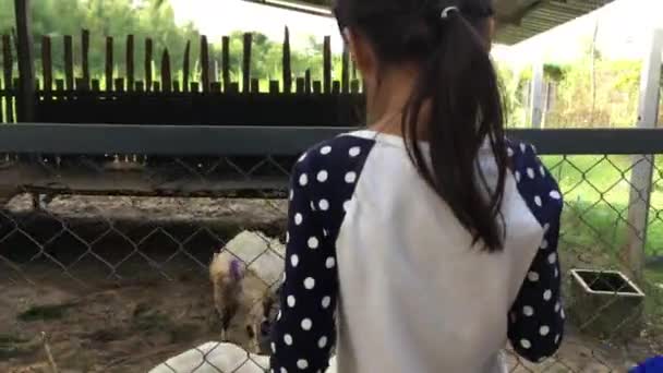 亚洲儿童喂养农场山羊 — 图库视频影像