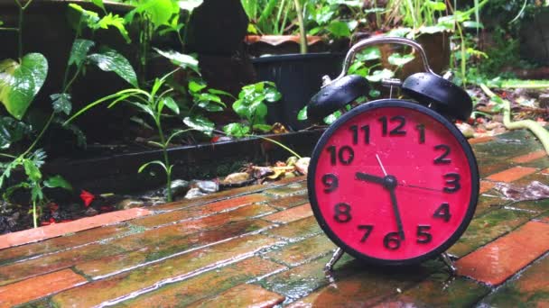 Time lapse of a Clock speeding up on rainy day — Stock Video