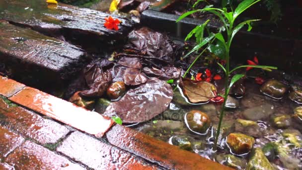 Lambat gerak Air Splah di sisi taman berjalan pada hari hujan — Stok Video