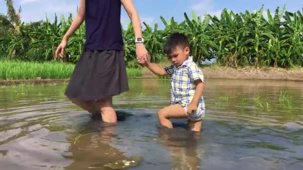 Madre moderna caminar a su hijo en un campo de arroz para el programa educativo de aprendizaje de la naturaleza . — Vídeo de stock