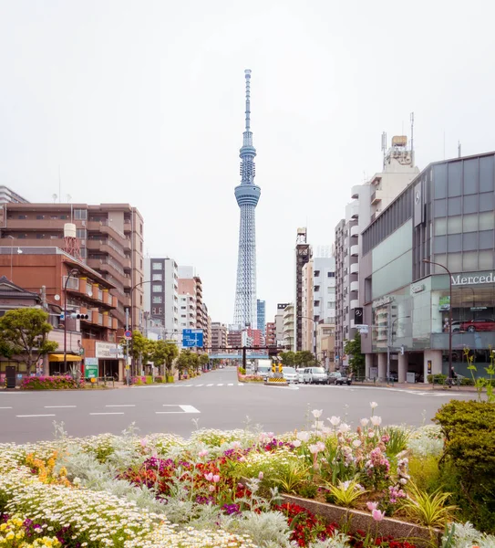 La visione dello Skytree di Tokyo dall'incrocio di Sumida . — Foto Stock