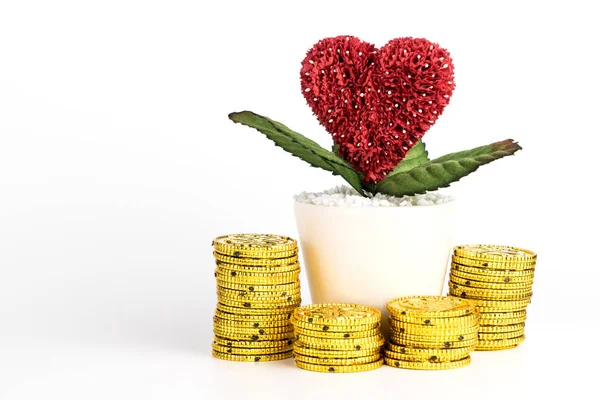 Spara pengar för kärlek och äktenskap koncept isolerade — Stockfoto