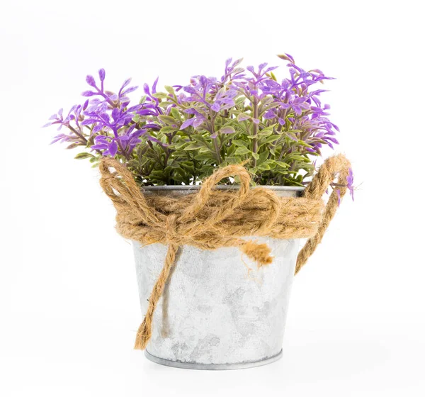 Purple flower in Silver metal bucket isolated on white — Stock Photo, Image