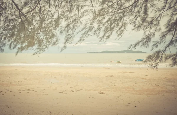 Open beach with leaves framed in the foreground — Stock Photo, Image