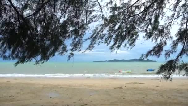 Beach landscape Framed by pine tree leaves — Stock Video