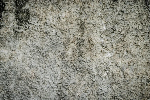 Ściany szare brudne sztukaterie cementu dla tekstury i tła — Zdjęcie stockowe