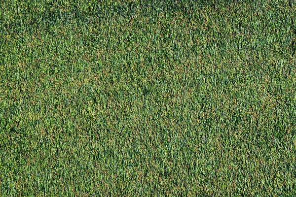 Wet Green grass floor surface for texture backdrop — Stock Photo, Image