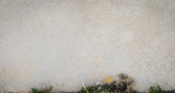 Kir ve alt çimlere ile beton zemin