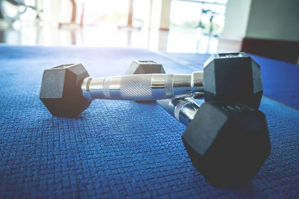 Pair of dumbbell on a fitness floor silhouette from windows light