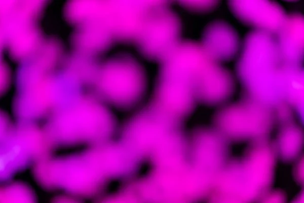 Blur Purple Spining Bokeh Abstract Background — Stock Photo, Image