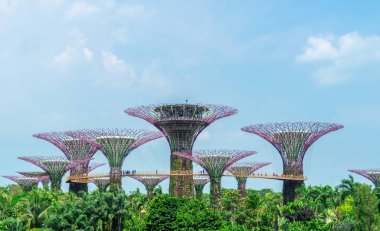 Bay tarafından bahçede süper ağaç üzerinde gökyüzü yürüyüş.