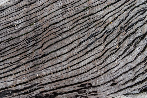 Fa kéreg fa textúra és a minta a háttérben — Stock Fotó