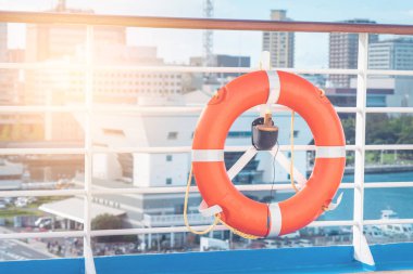 Orange Libouy hayat döngüsü Deniz ve Fer 'e giden bir okyanus yolcu gemisinde