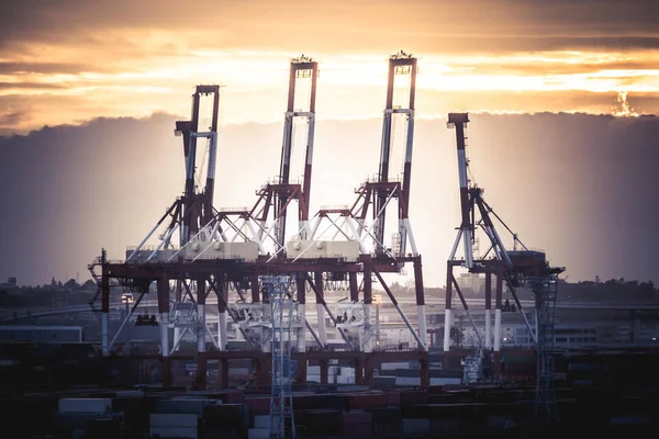 Silhouette port harbor industrial transportation dock with crane