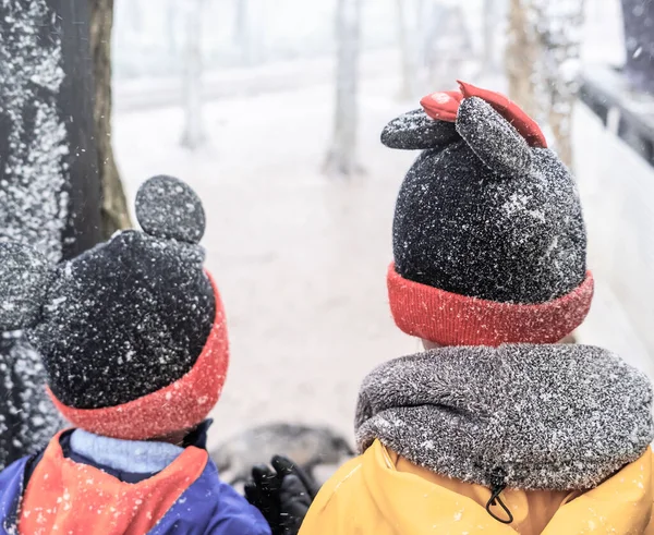 Two Kid Winter Clothing Covering Snow Fall Heavy Snow Weather — Stock Photo, Image