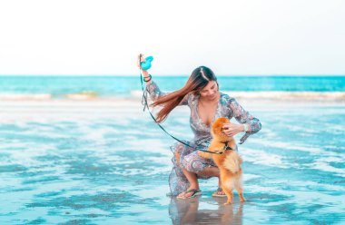 Asyalı bir kadın, evcil köpeğiyle yaz plajında oynuyor. Hayvanları sevmek ve rahatlatmak için..