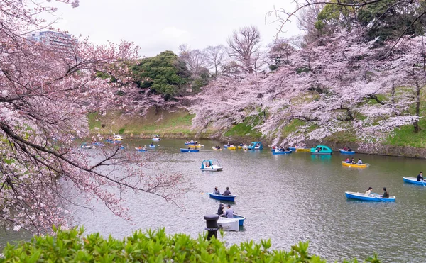 Tokio Japón Marzo 2019 Gente Está Montando Barco Remos Canal —  Fotos de Stock